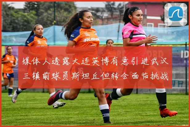 媒体人透露大连英博有意引进武汉三镇前球员斯坦丘但转会面临挑战